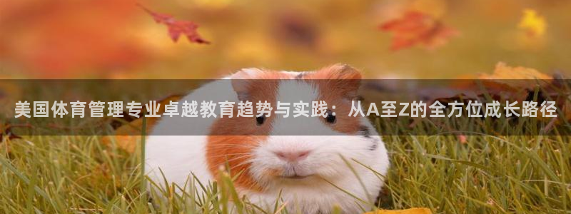 必一体育官方app下