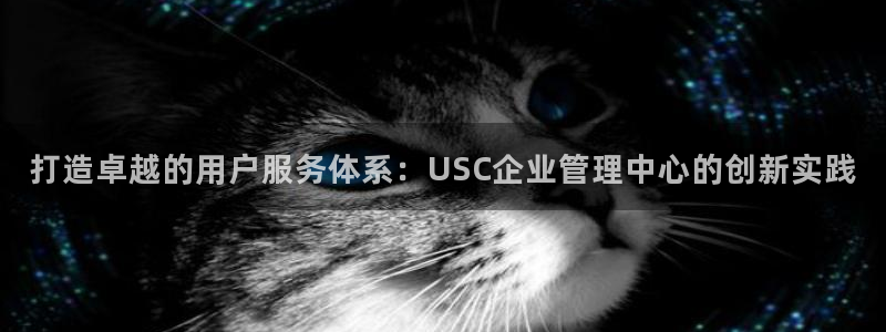 必一体育是啥：打造卓