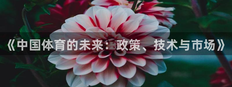 必一体育全站在线登录