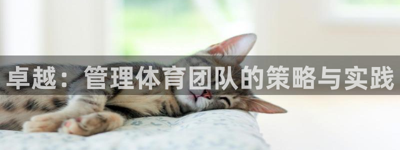 必一运动tieba.