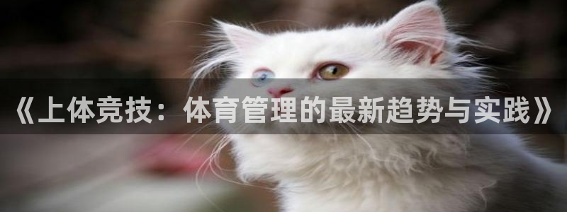 必一体育在线玩：《上
