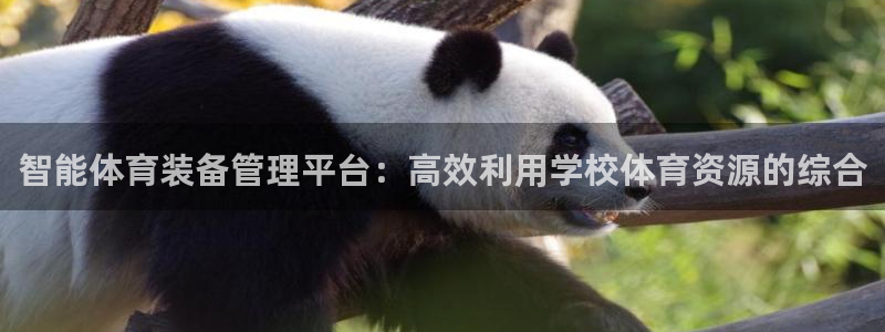 必一体育网页：智能体