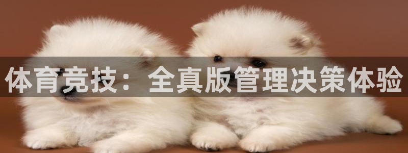 必一运动体育官网下载：体育竞技：全真版管理决策体验