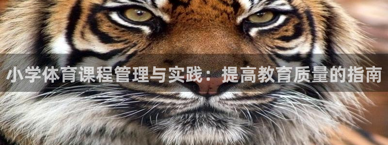 b体育必一运动网页版