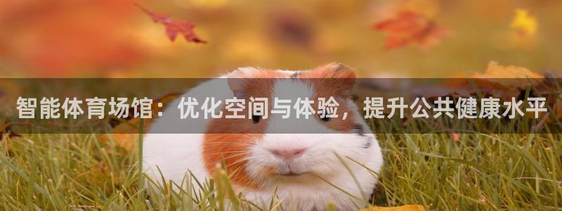 必一体育下载意思：智