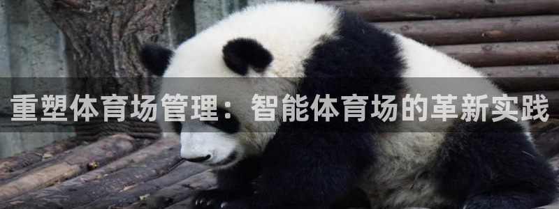 必一体育在线登陆：重塑体育场管理：智能体育场的革新实践