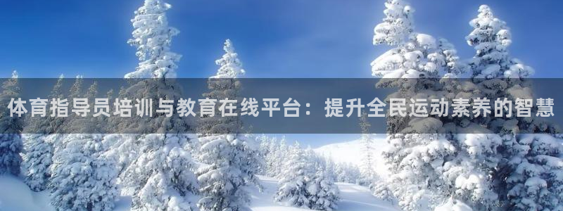 必一体育在哪下：体育