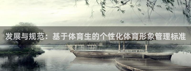 必一体育旧版：发展与