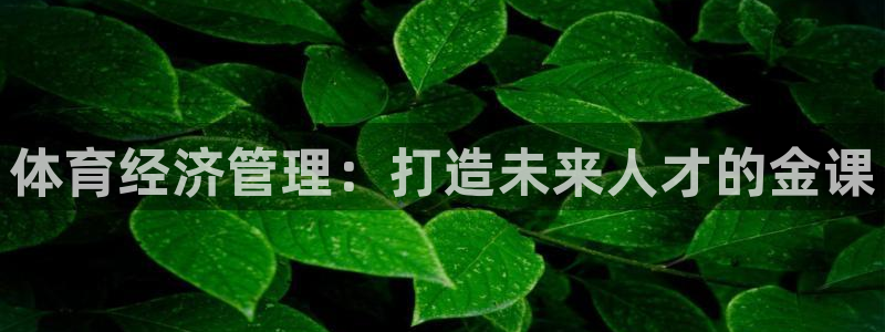 必一体育运动官网：体育经济管理：打造未来人才的金课