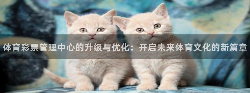 必一体育游戏玩法：体育彩票管理中心的升级与优化：开启未来体育