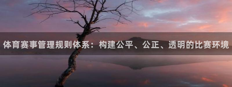 必一体育最新官网入口