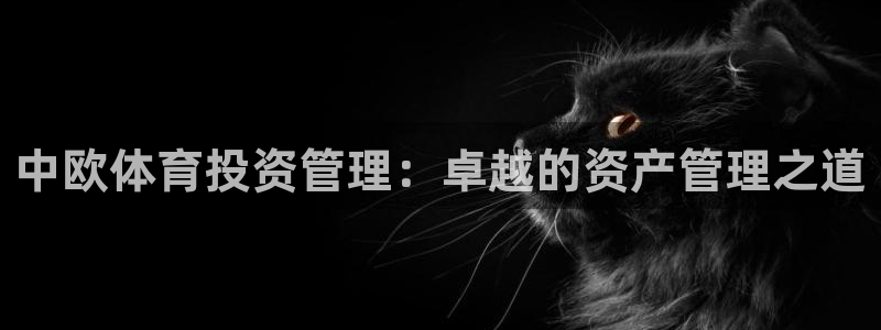 必一体育在线官网：中欧体育投资管理：卓越的资产管理之道