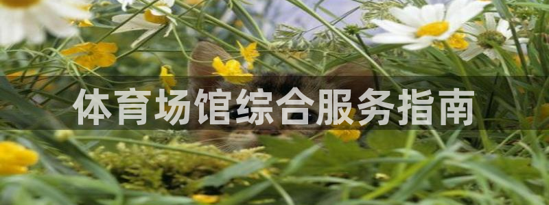必一运动体：体育场馆综合服务指南
