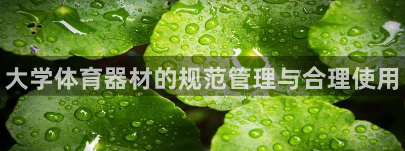 必一体育下载秀给网：