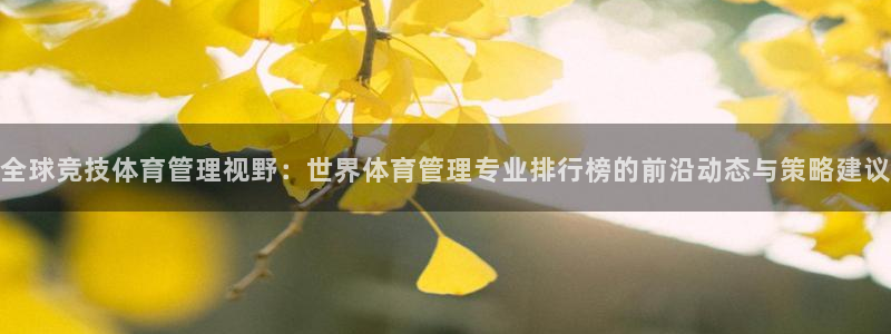 必一体育游戏玩法：全