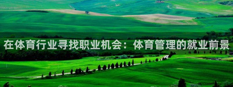 必一体育网页：在体育