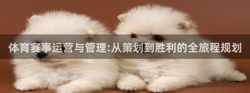 必一体育网页版登录：