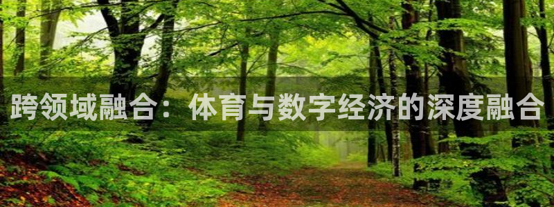 必一运动 b 体育素