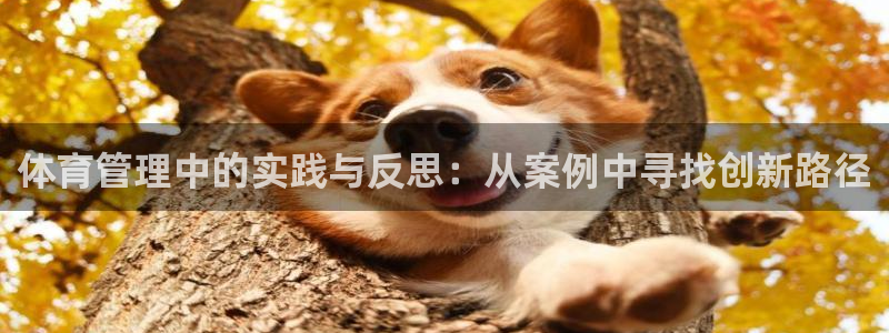 必一体育可靠吗：体育