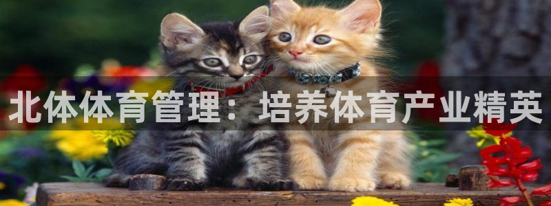 必一体育流水线是什么意思