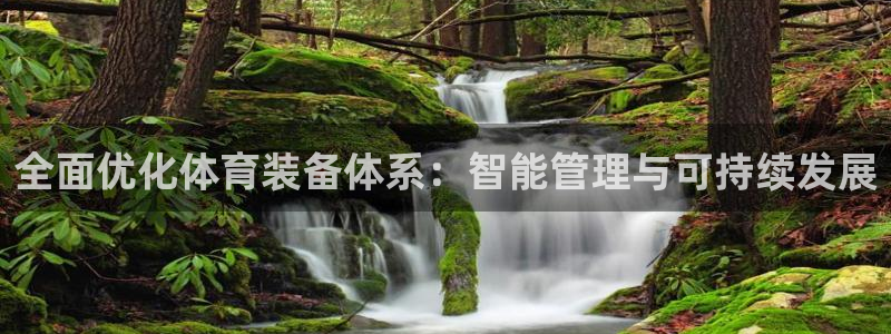 必一体育旧版：全面优