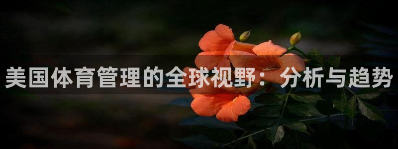 必一运动官网入口：美