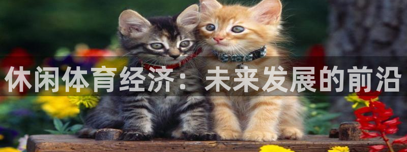 必一体育登入：休闲体