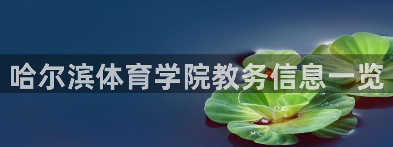 必十二和必一的副作用