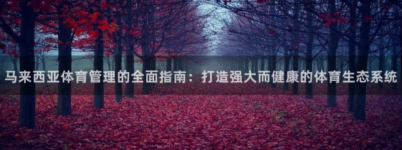 必一体育登录入口：马