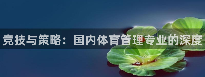 必一运动体育官网：竞