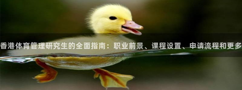 必一体育登录APP下