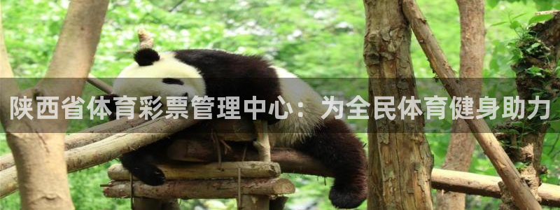 必一体育下载义：陕西