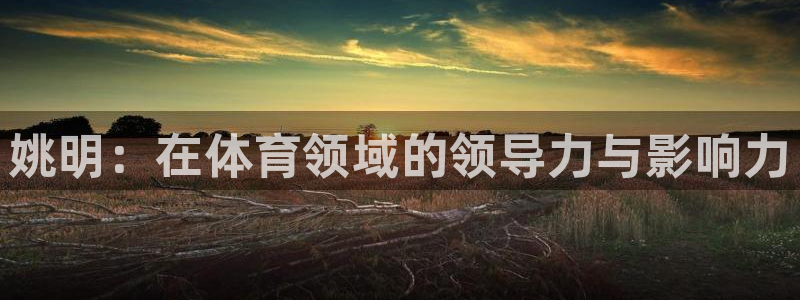 必一体育验证码：姚明