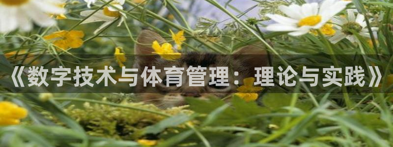 必一体育下载秀给网：