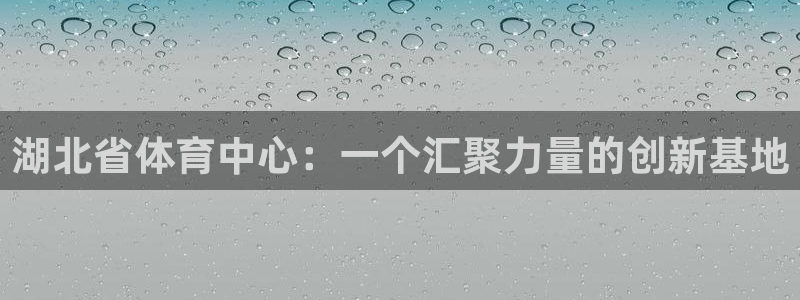 必一体育在线入口：湖