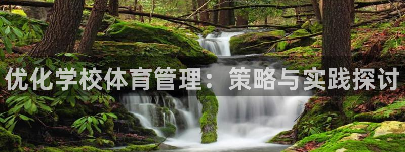 必一体育官网网址：优