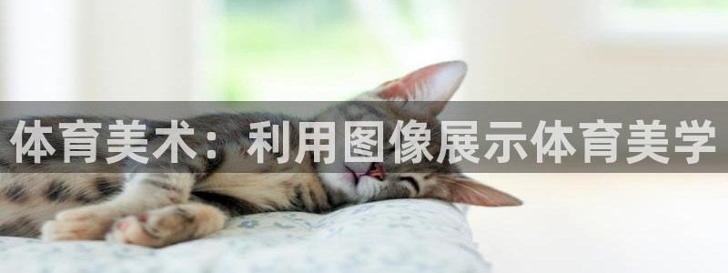 必一体育下载秀给网：