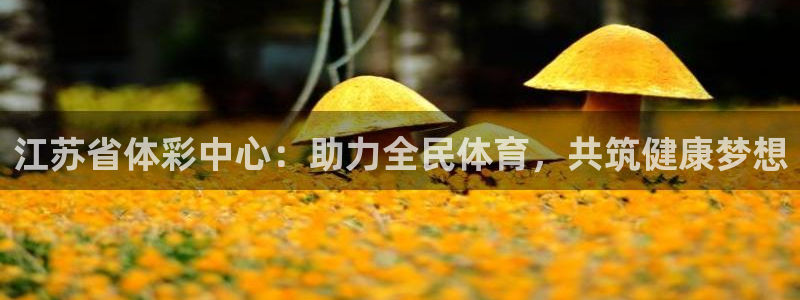 必一运动听的歌：江苏