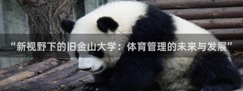 必一体育登录：“新视