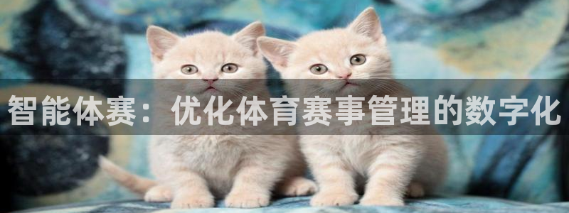 必一体育没了：智能体