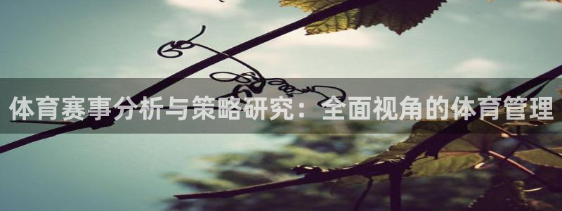 必一体育运动平台官网