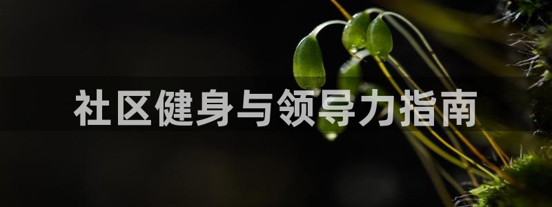 必一体育官网网站：社