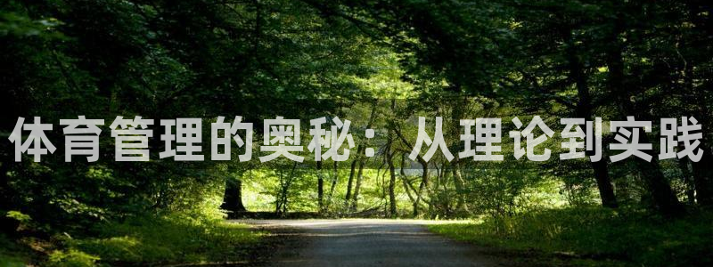 必一体育下载app下