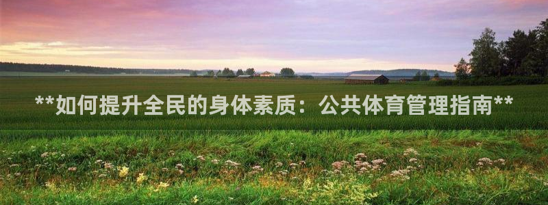 必一运动验证码：**如何提升全民的身体素质：公共体育管理指南