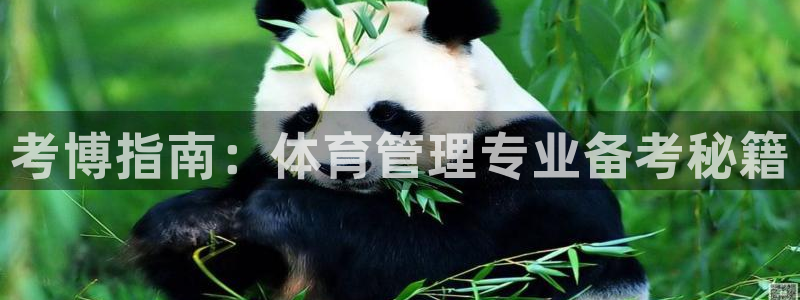 必一体育可靠吗