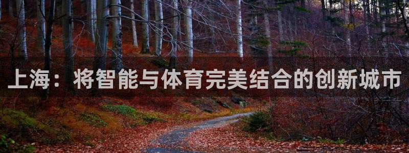 必一体育能提现大金额吗：上海：将智能与体育完美结合的创新城市