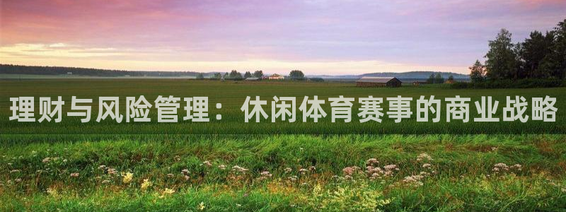 必一体育验证码：理财与风险管理：休闲体育赛事的商业战略